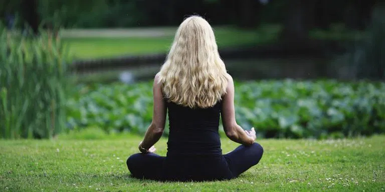 The Science of Mindfulness for Daily Wellness and Stress Reduction