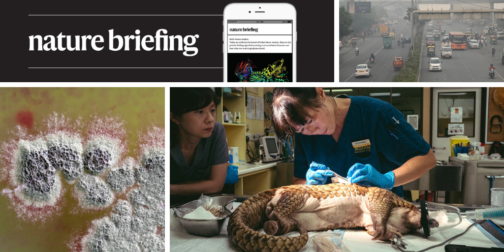 Image for Daily briefing: Custom-made gene-editing therapy for children to enter